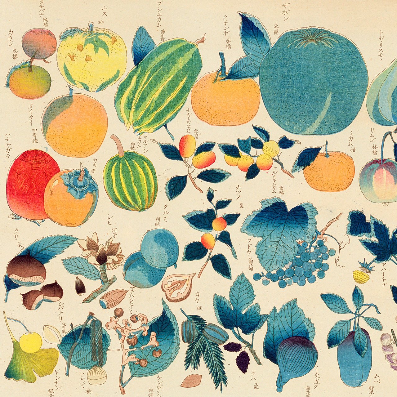 Chart of plants Japanese Art Prints & Posters - Japonica Graphic -