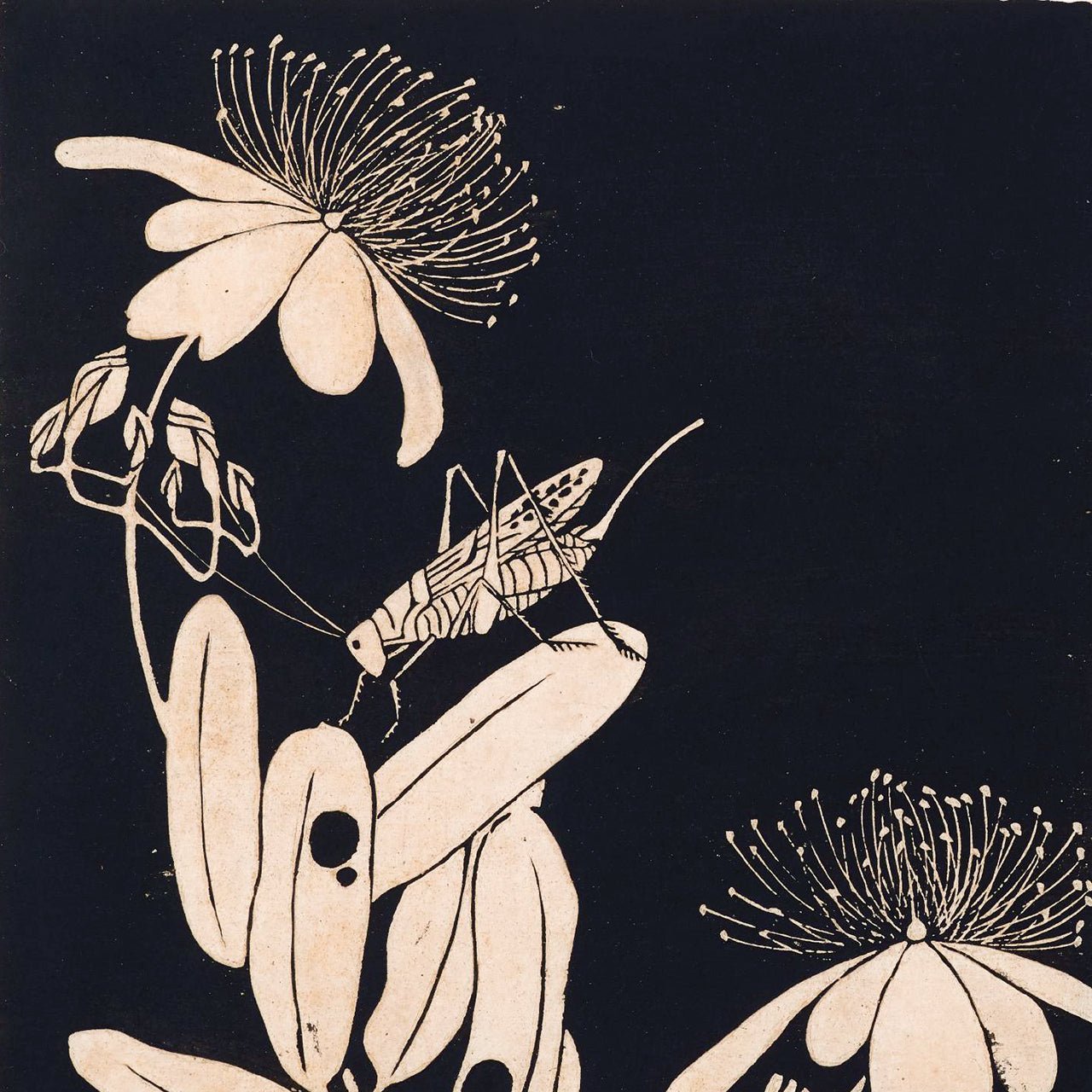 Itō Jakuchū - Japonica Graphic