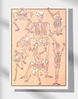 Kyōsai Sketchbook — Skeletons (Front View)