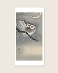 Owl in ginkgo – Ohara Koson art print 30 x 60 cm