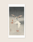 Two pigeons with falling ginko leaves – Ohara Koson art print 30 x 60 cm
