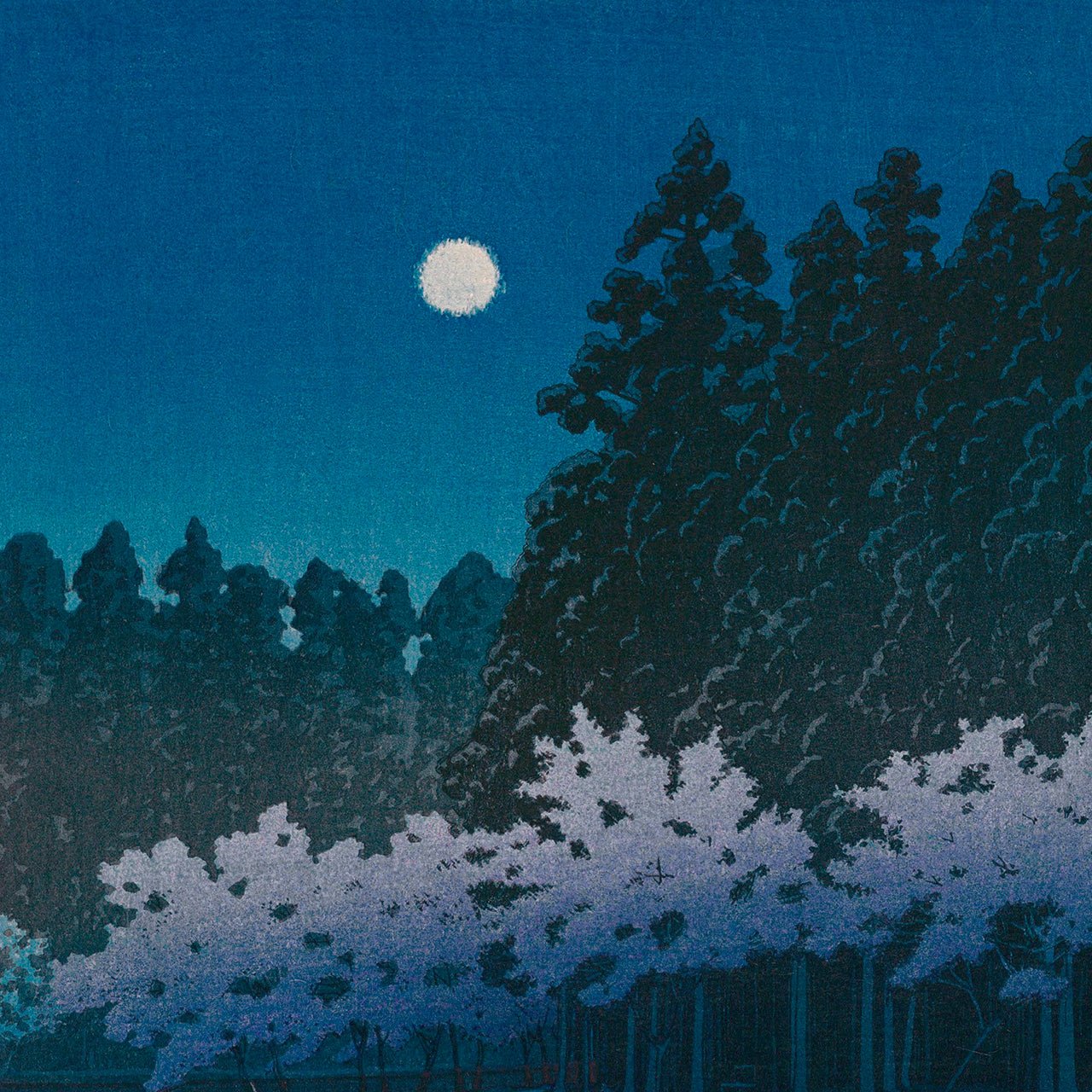 Spring Night at Inokashira - Japonica Graphic