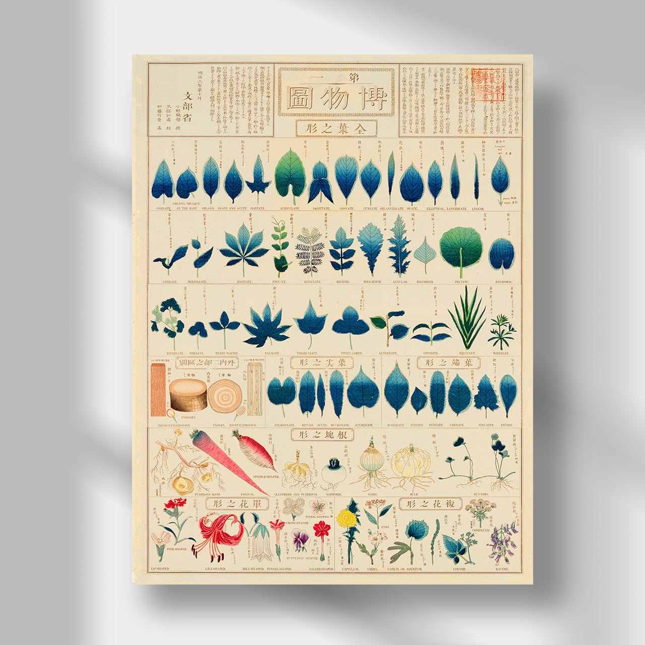 Chart of plants I - Japonica Graphic