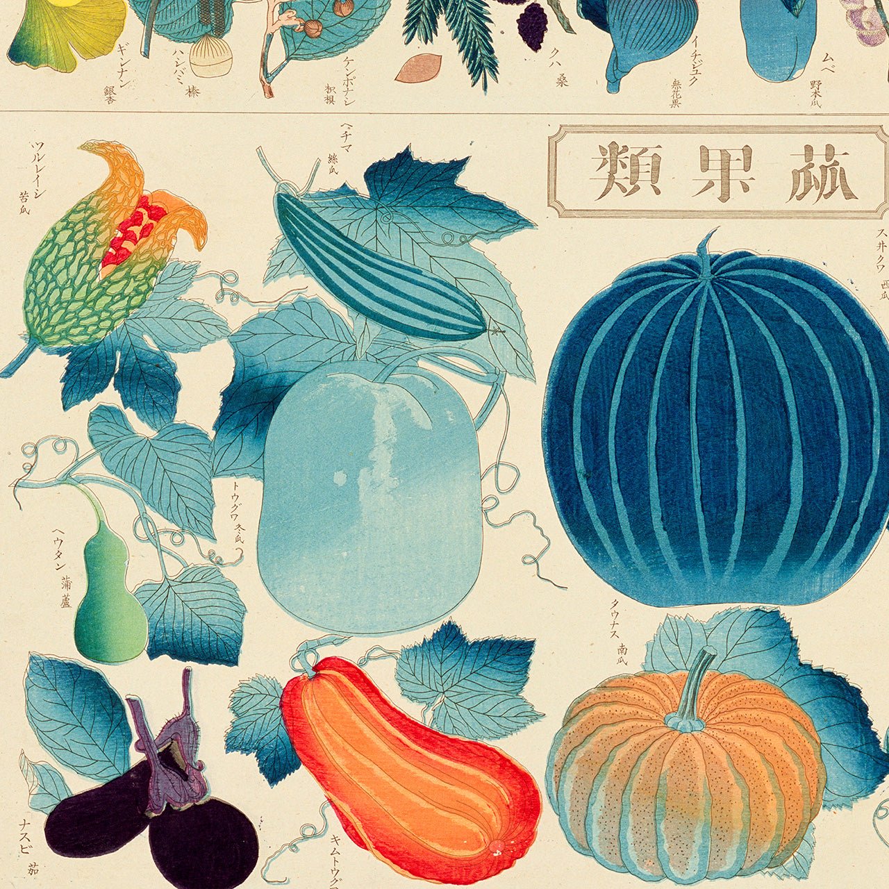 Chart of plants II - Japonica Graphic
