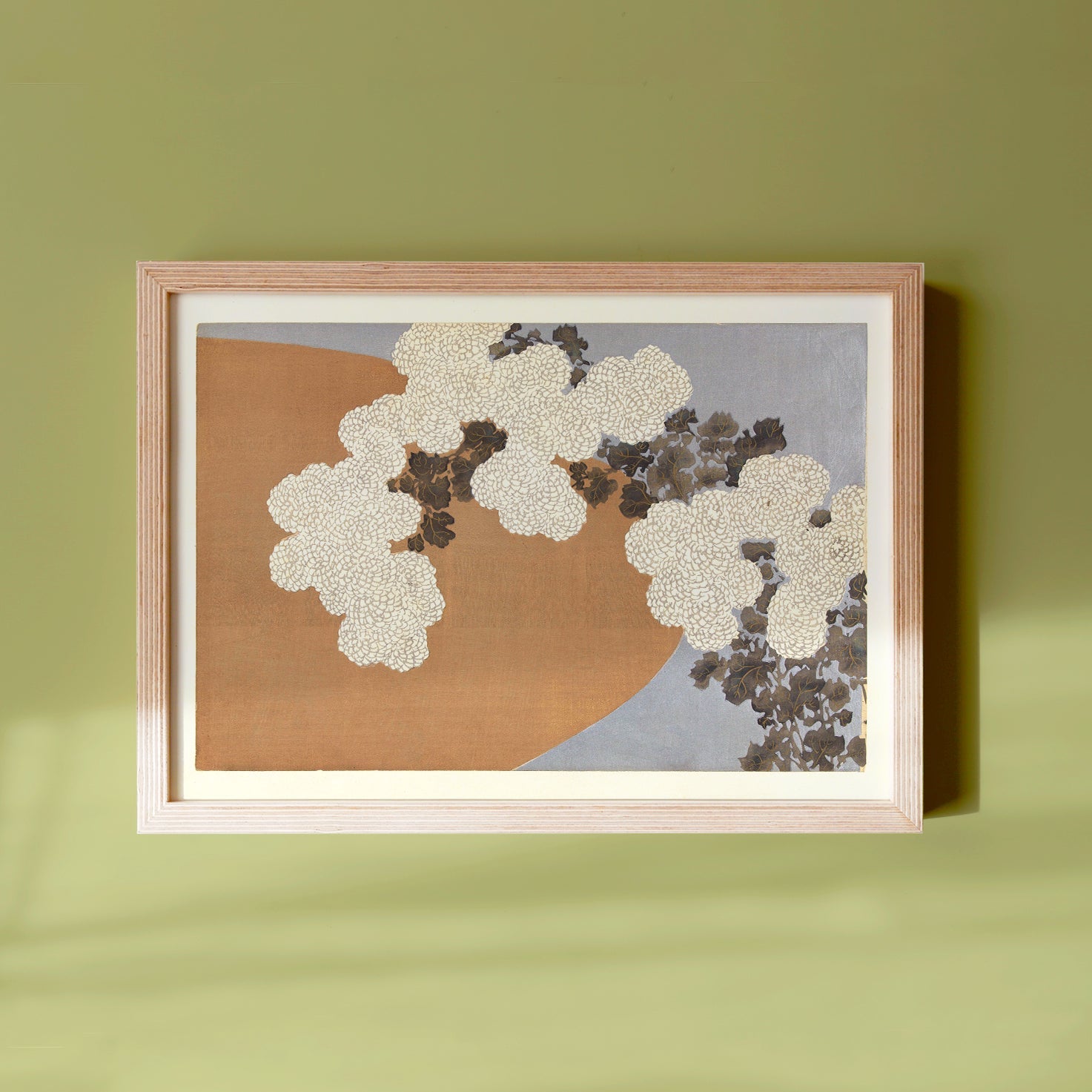 Chrysanthemum - Japonica Graphic