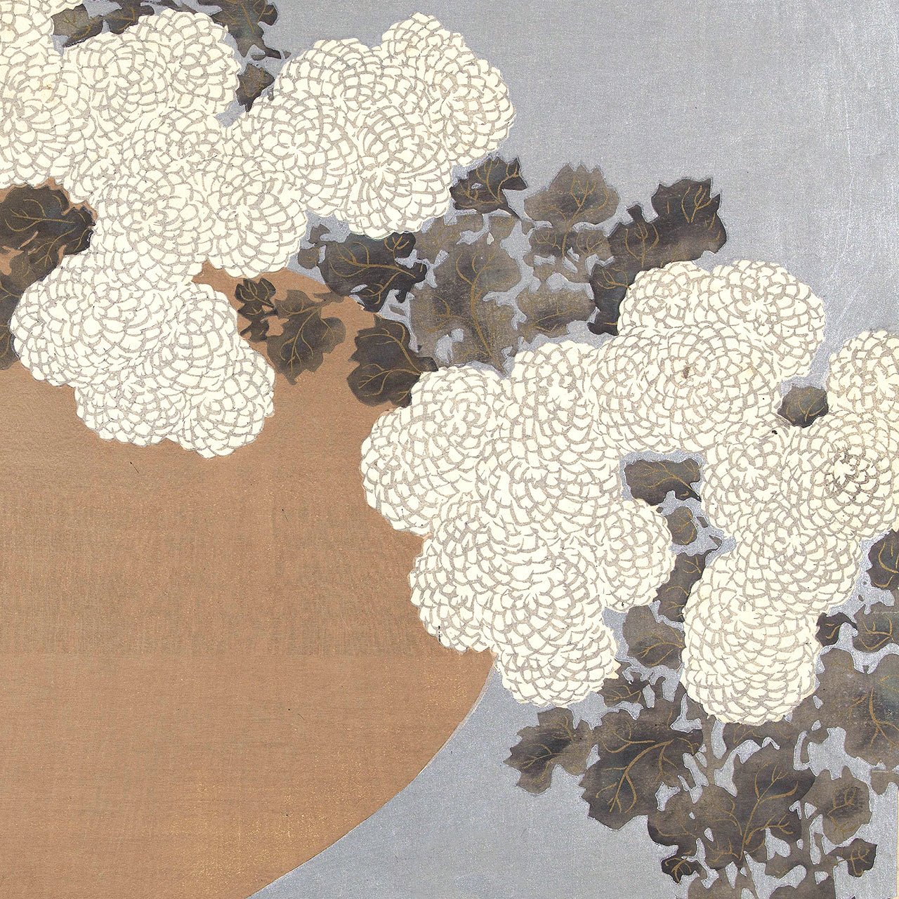 Chrysanthemum - Japonica Graphic