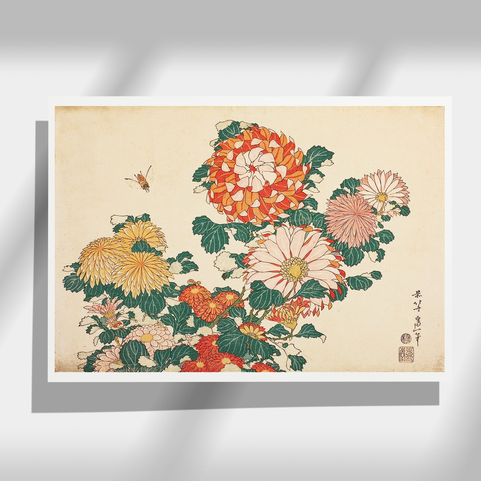 Chrysanthemums and bee - Japonica Graphic