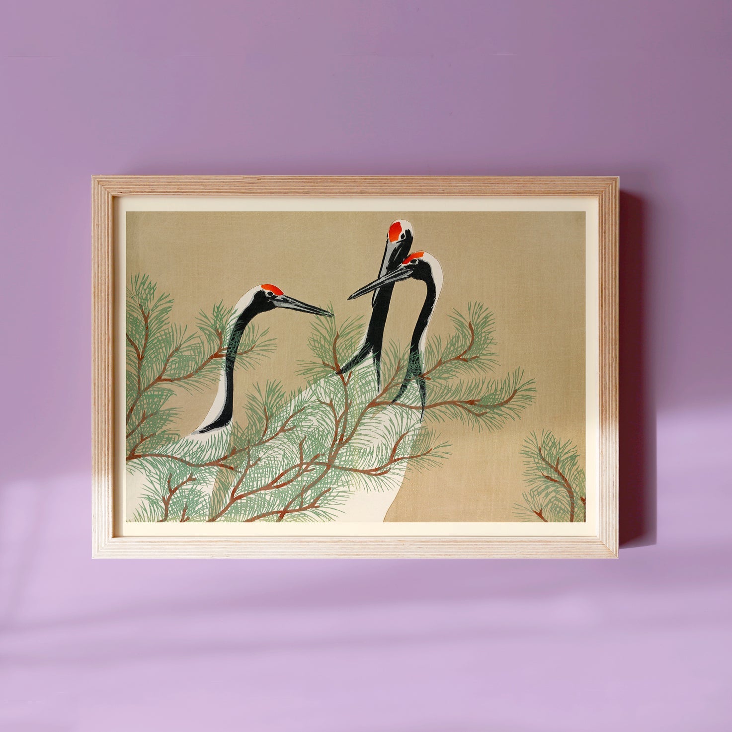 Cranes - Japonica Graphic