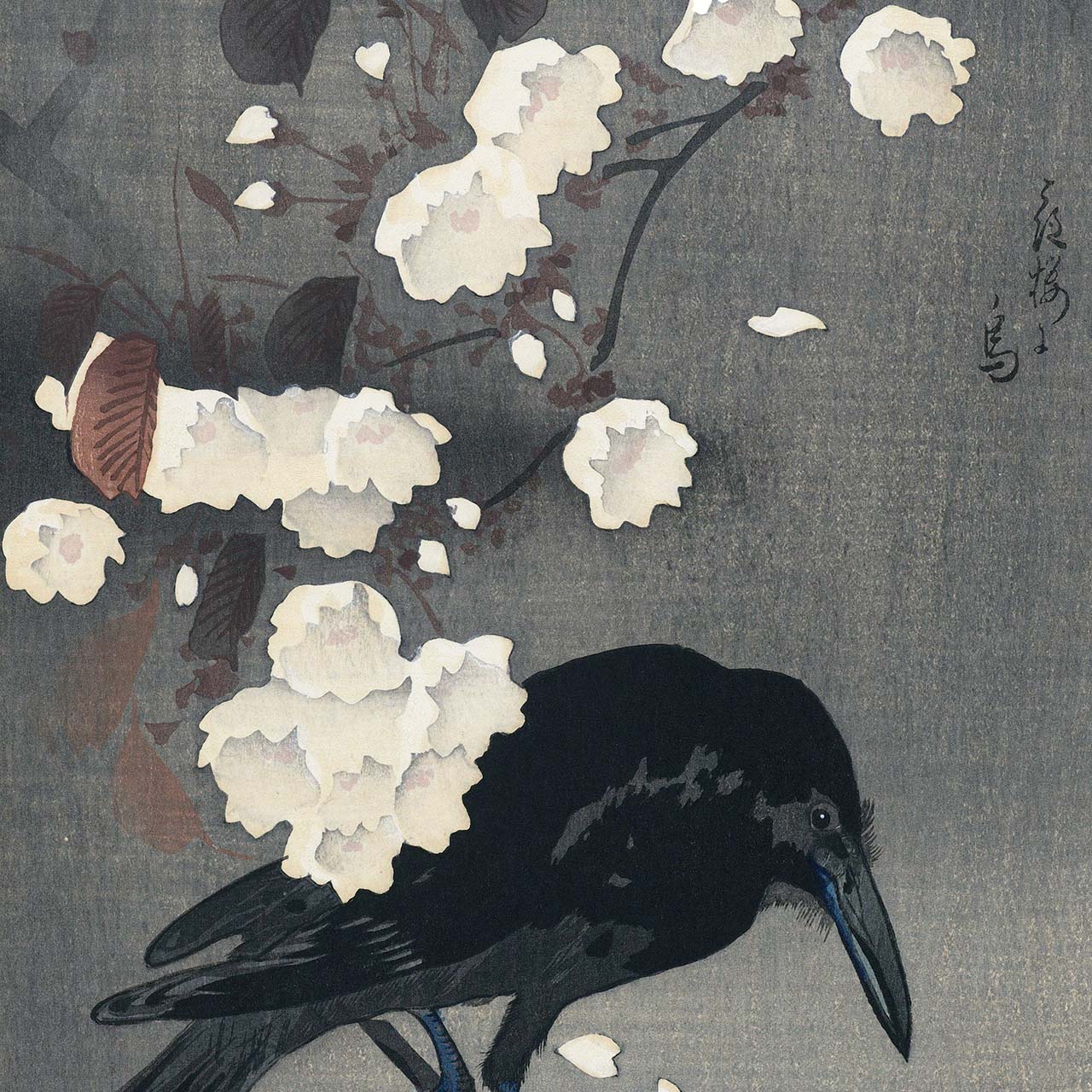 Crow on a cherry branch - Japonica Graphic