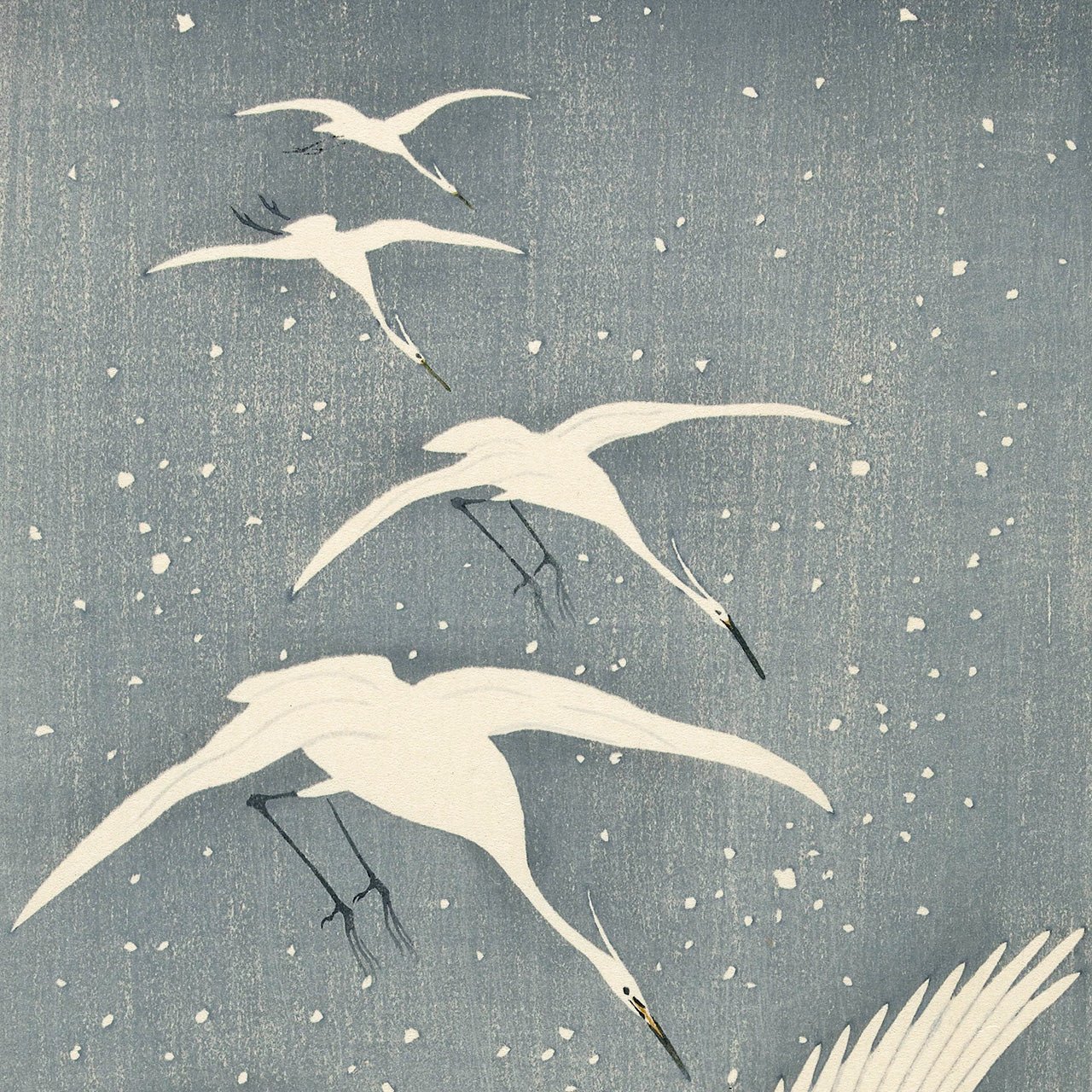 Descending egrets in snow - Japonica Graphic