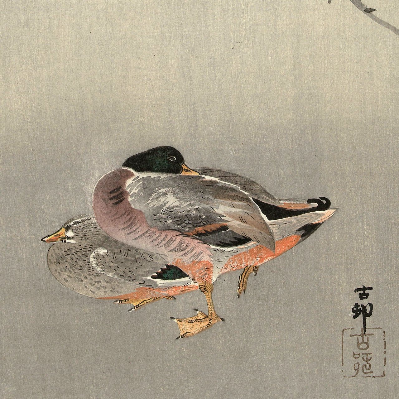 Ducks at full moon - Japonica Graphic