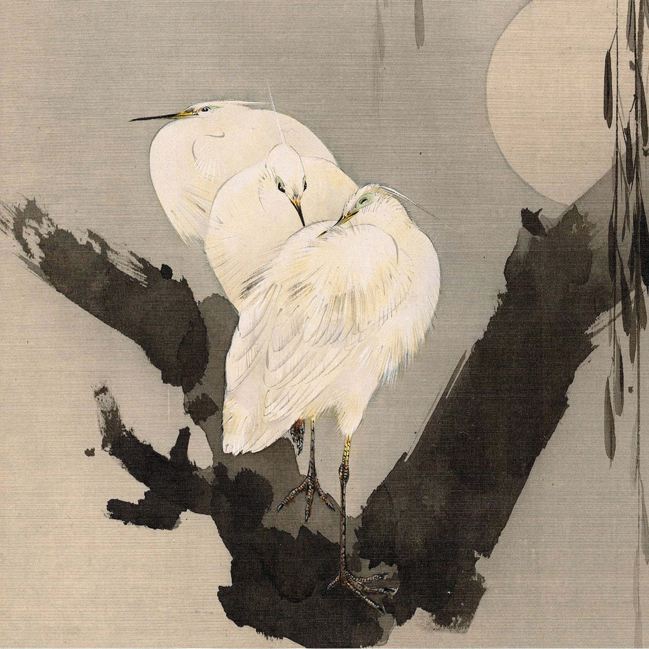 Egrets in a Tree at Night - Japonica Graphic