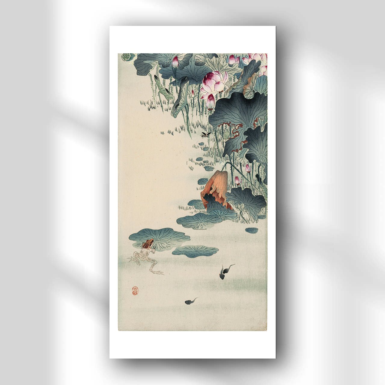 Frog and tadpoles - Japonica Graphic