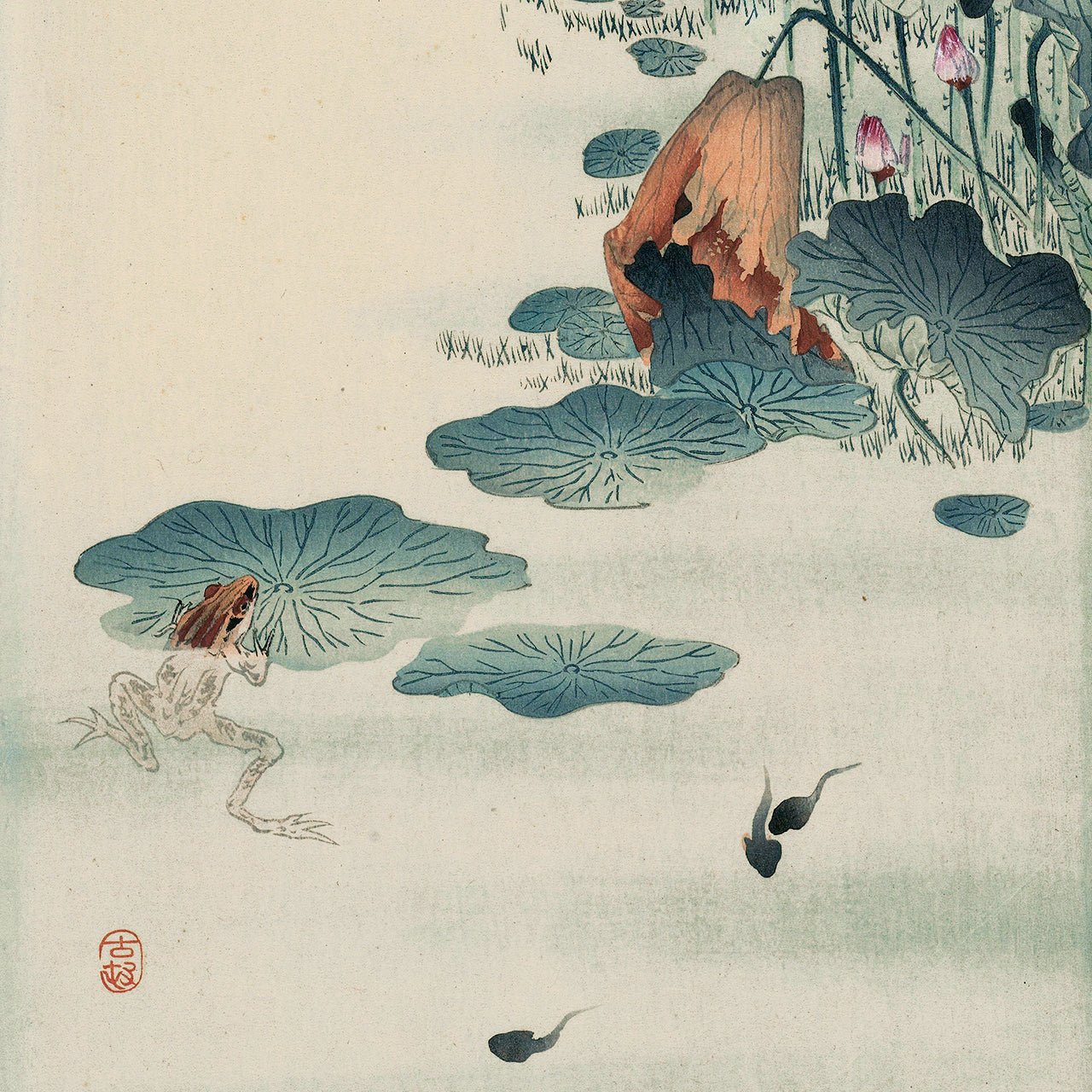 Frog and tadpoles - Japonica Graphic