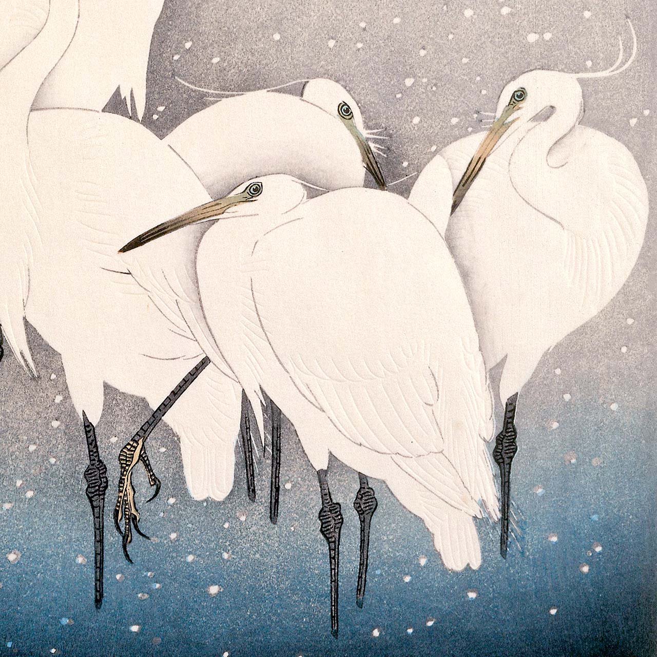 Group of Egrets - Japonica Graphic