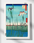 Horikiri Iris Garden - Japonica Graphic