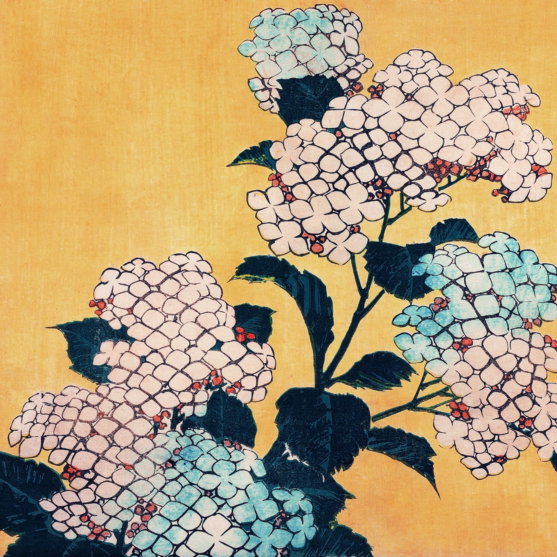 Hydrangea and swallow - Japonica Graphic