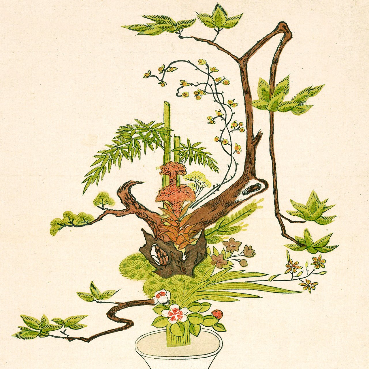 Ike Bana in the Ike-no-bo Style - Japonica Graphic