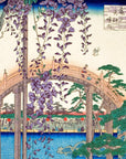 Inside Kameido Tenjin Shrine - Japonica Graphic