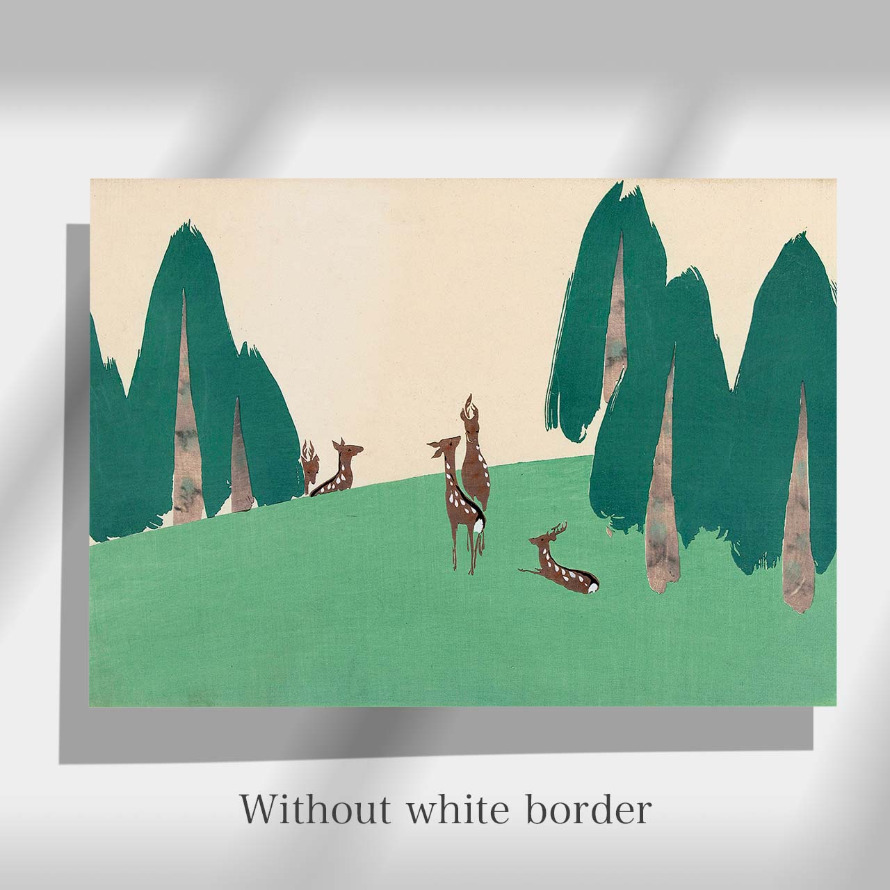 Kasugano - Japonica Graphic