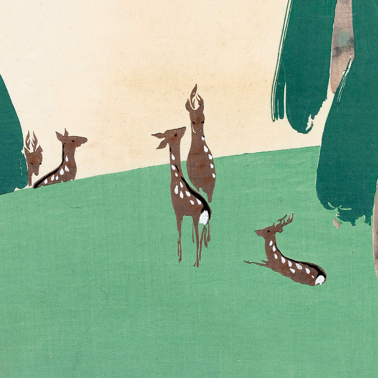 Kasugano - Japonica Graphic