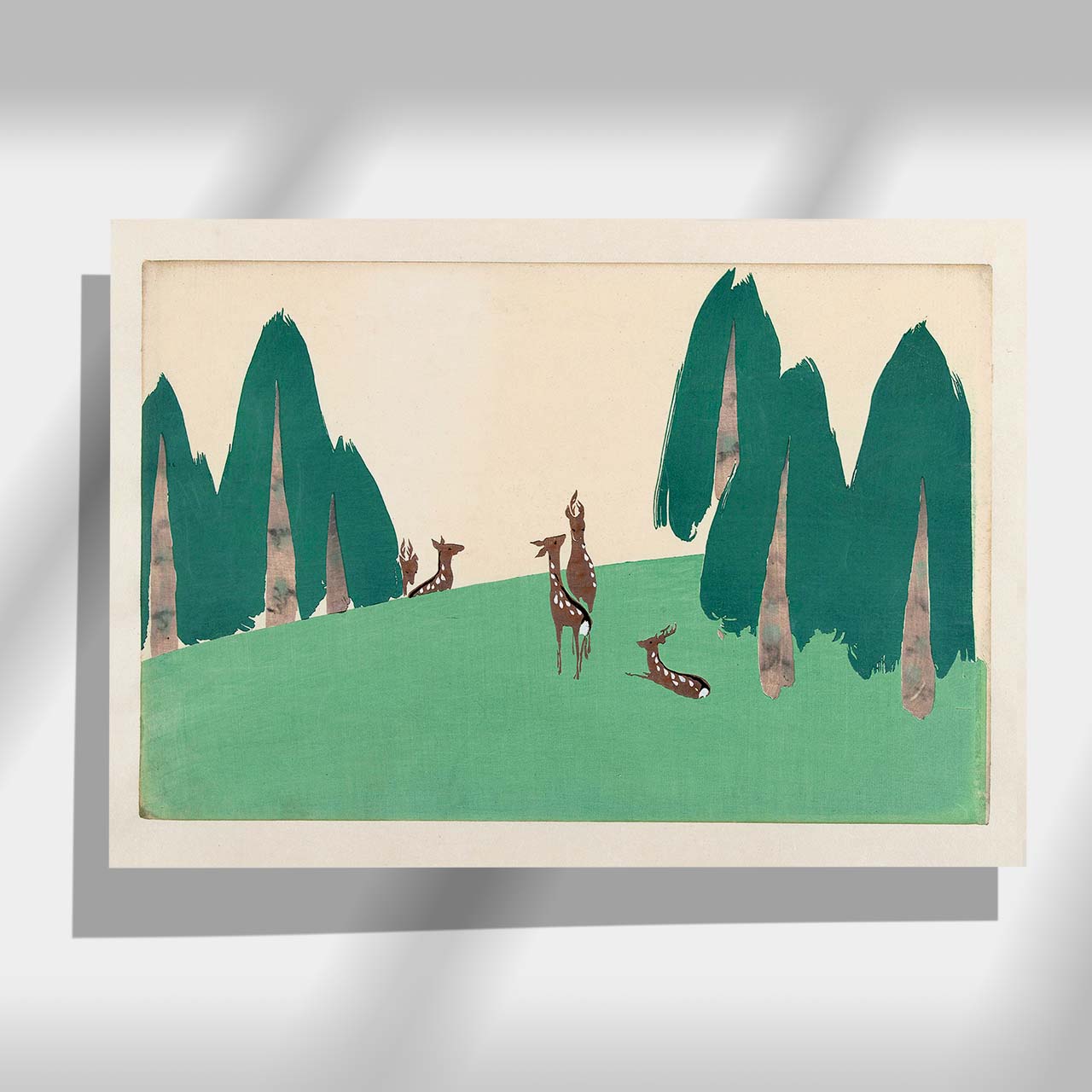 Kasugano - Japonica Graphic