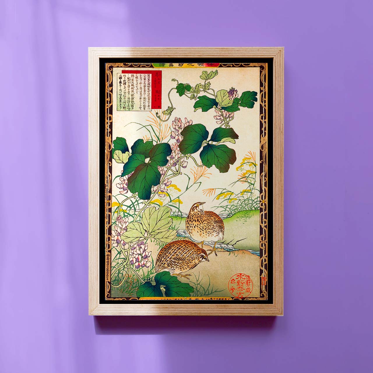Kudzu and Japanese quail - Japonica Graphic