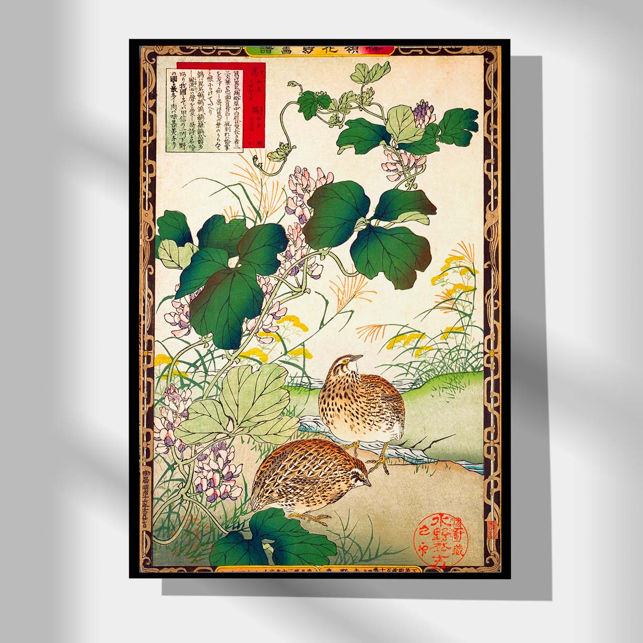 Kudzu and Japanese quail - Japonica Graphic