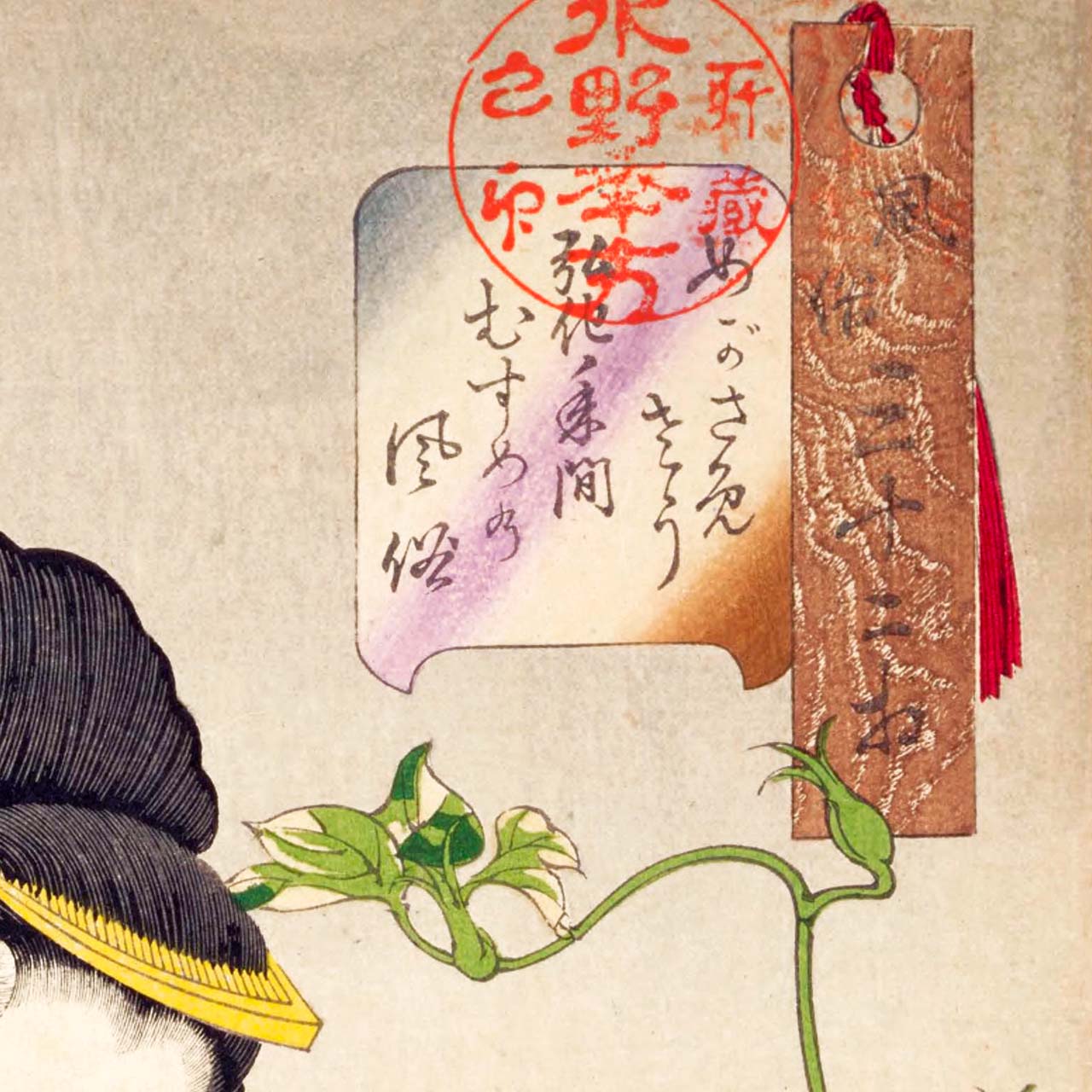 Looking as if waking up - Japonica Graphic