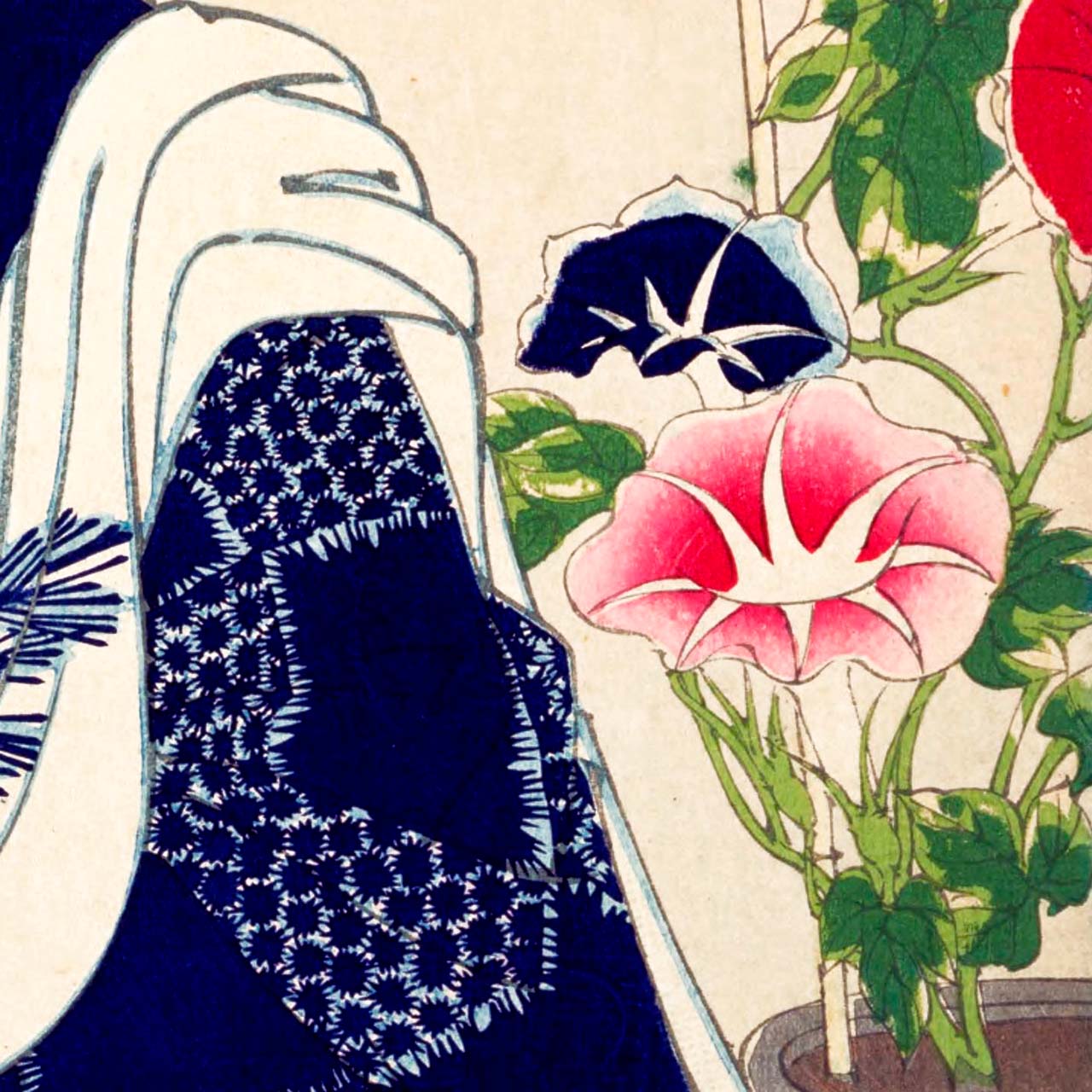 Looking as if waking up - Japonica Graphic