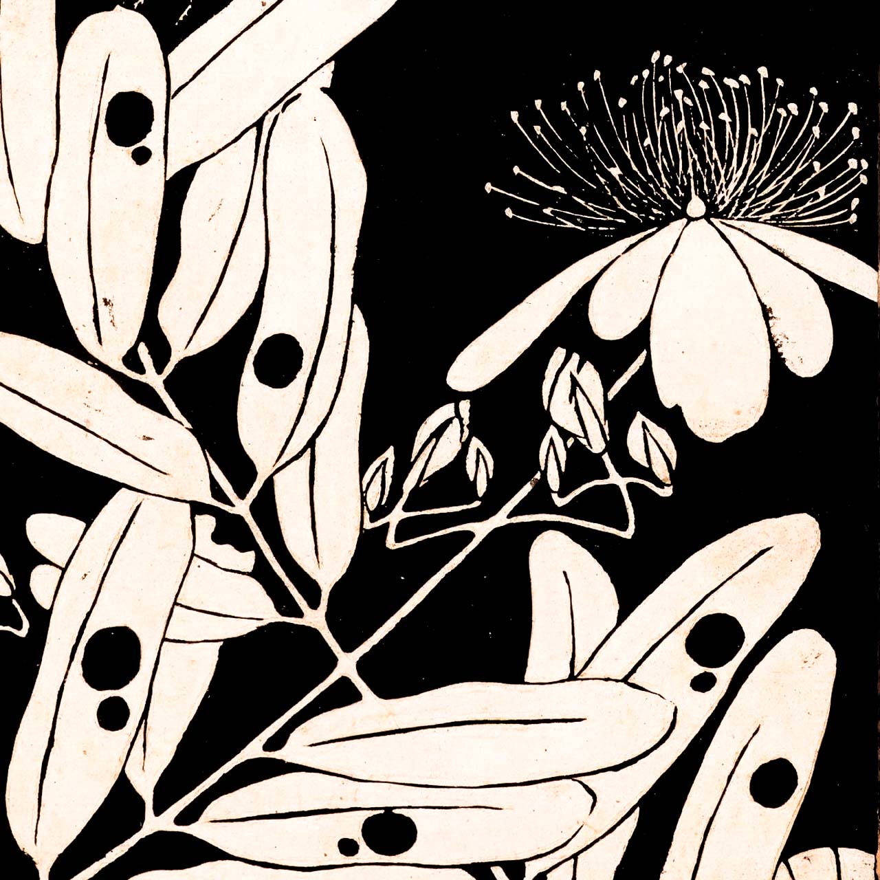 Mio Yanagi - Japonica Graphic