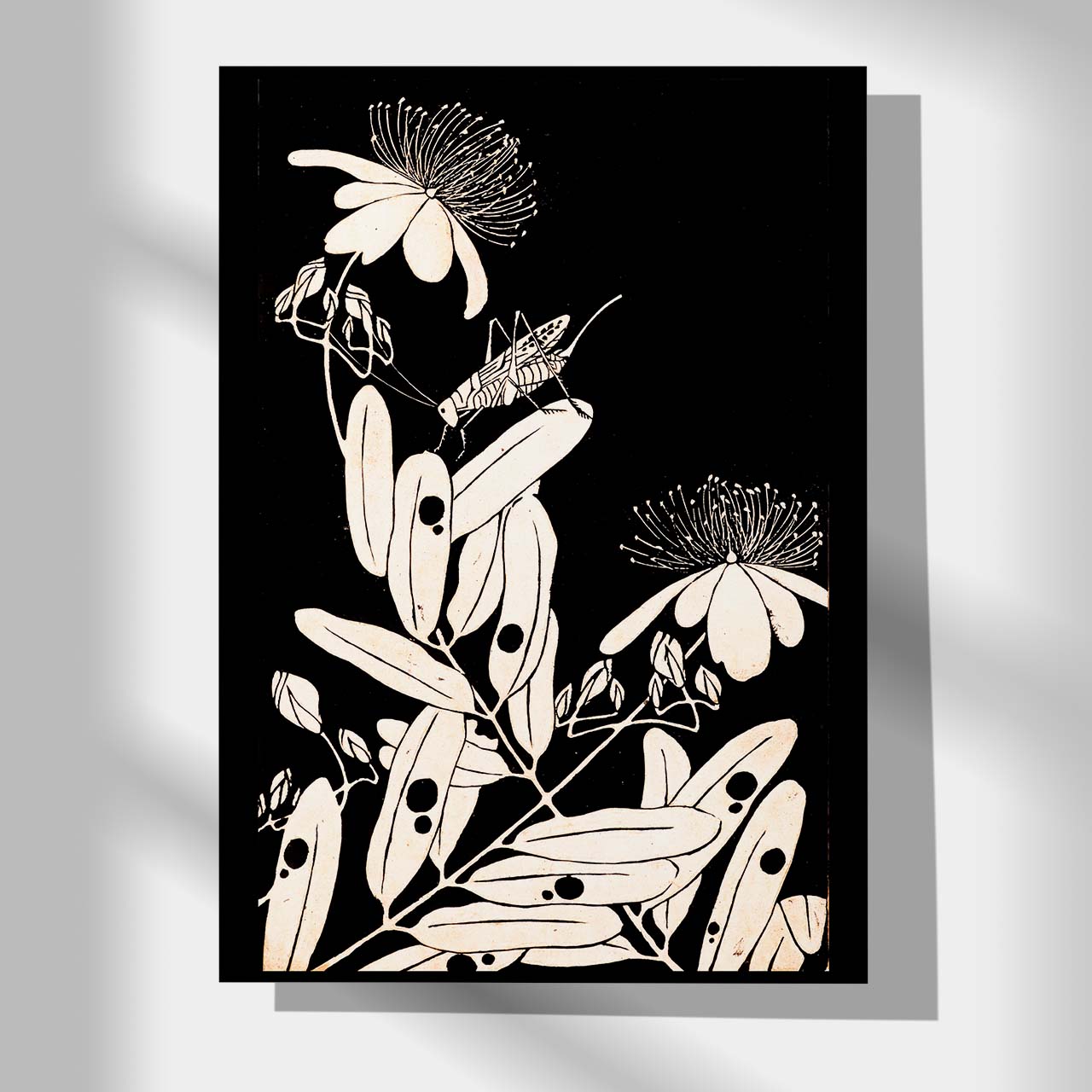 Mio Yanagi - Japonica Graphic