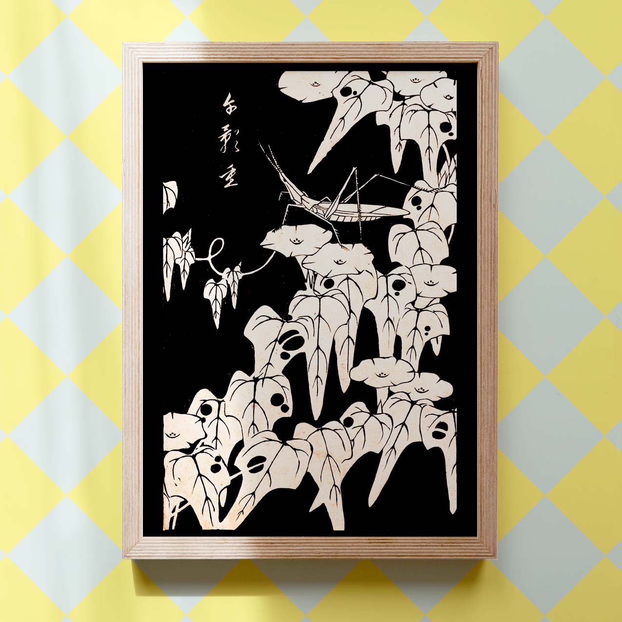 Morning glory - Japonica Graphic