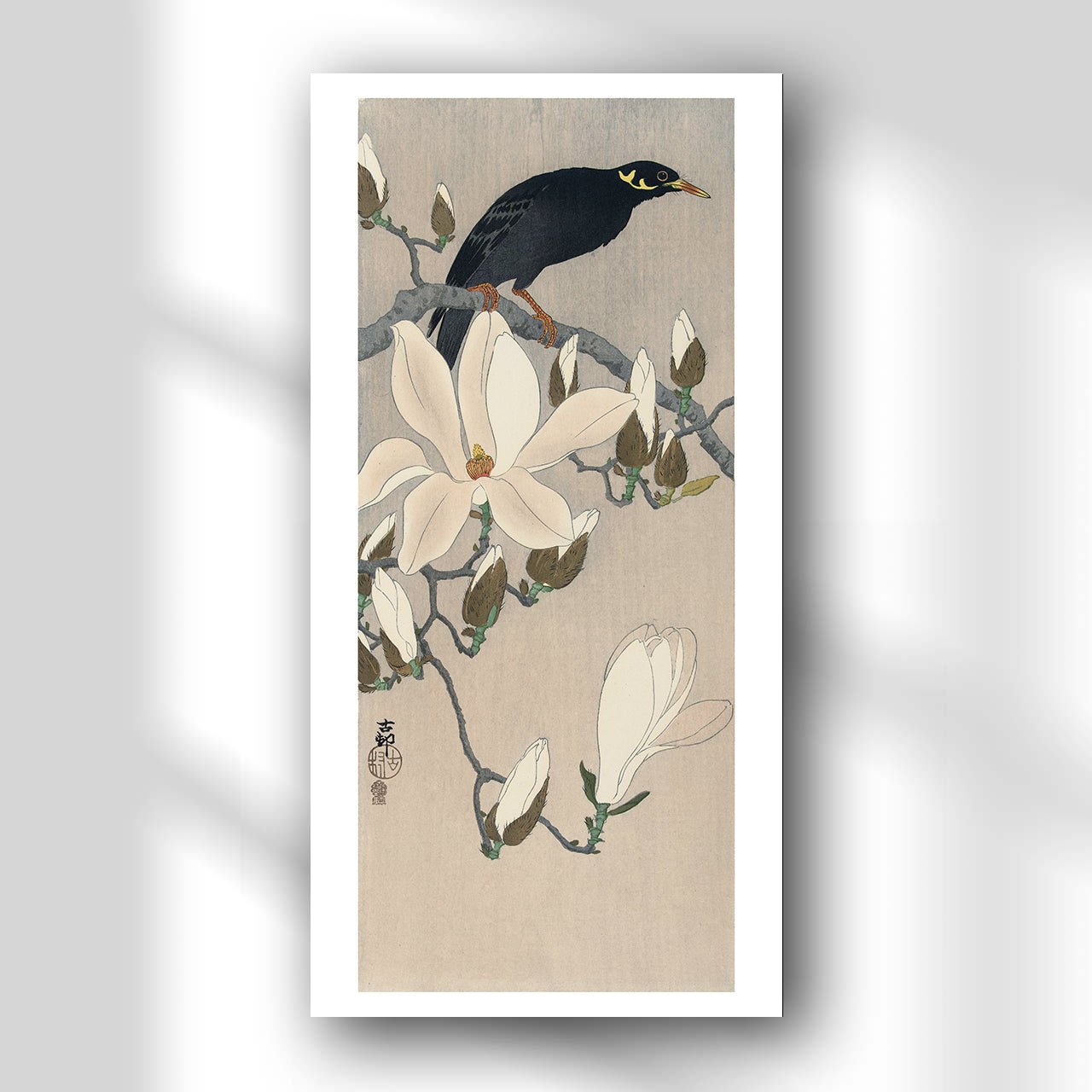 Myna on Magnolia Branch - Japonica Graphic
