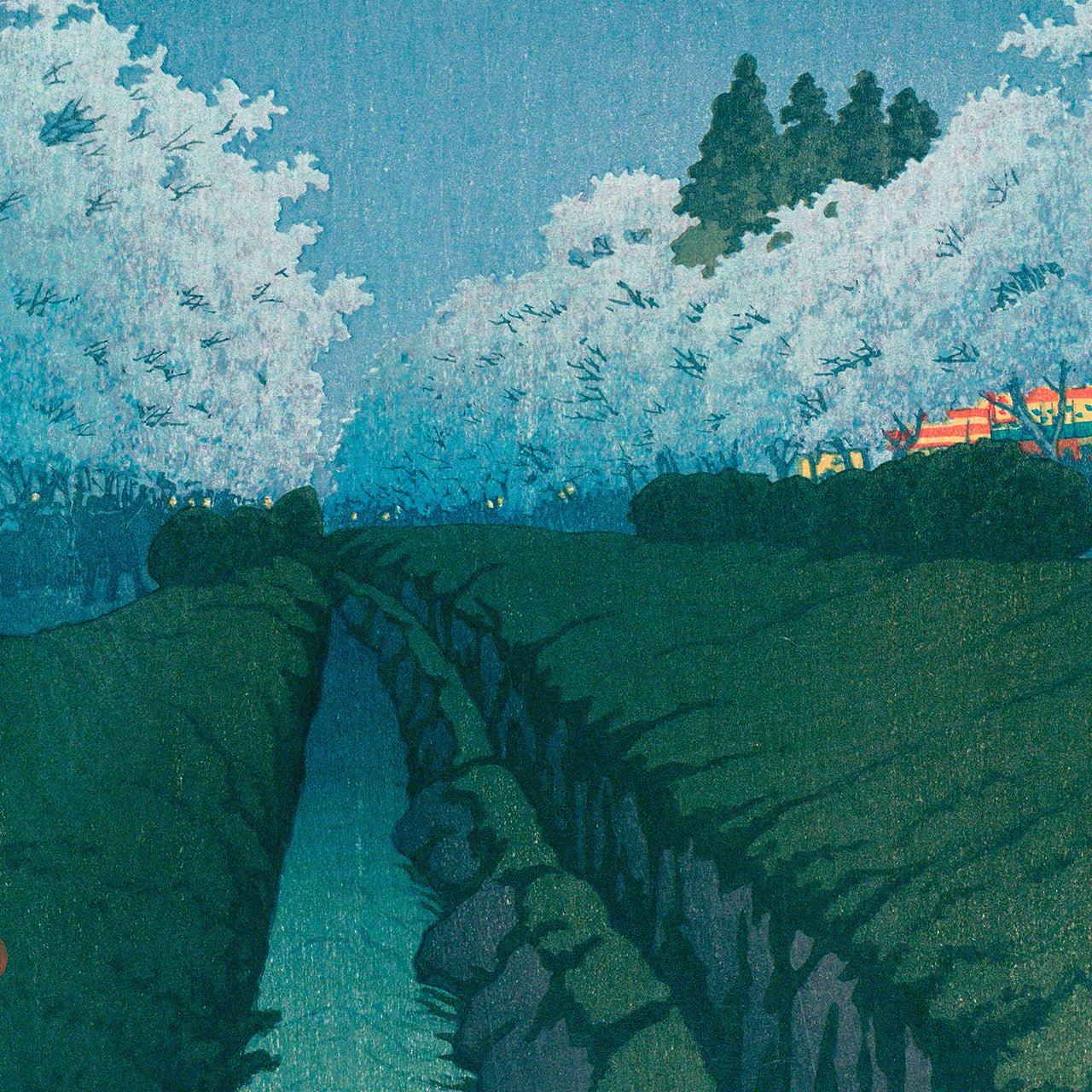 Night cherry blossoms in Koganei - Japonica Graphic