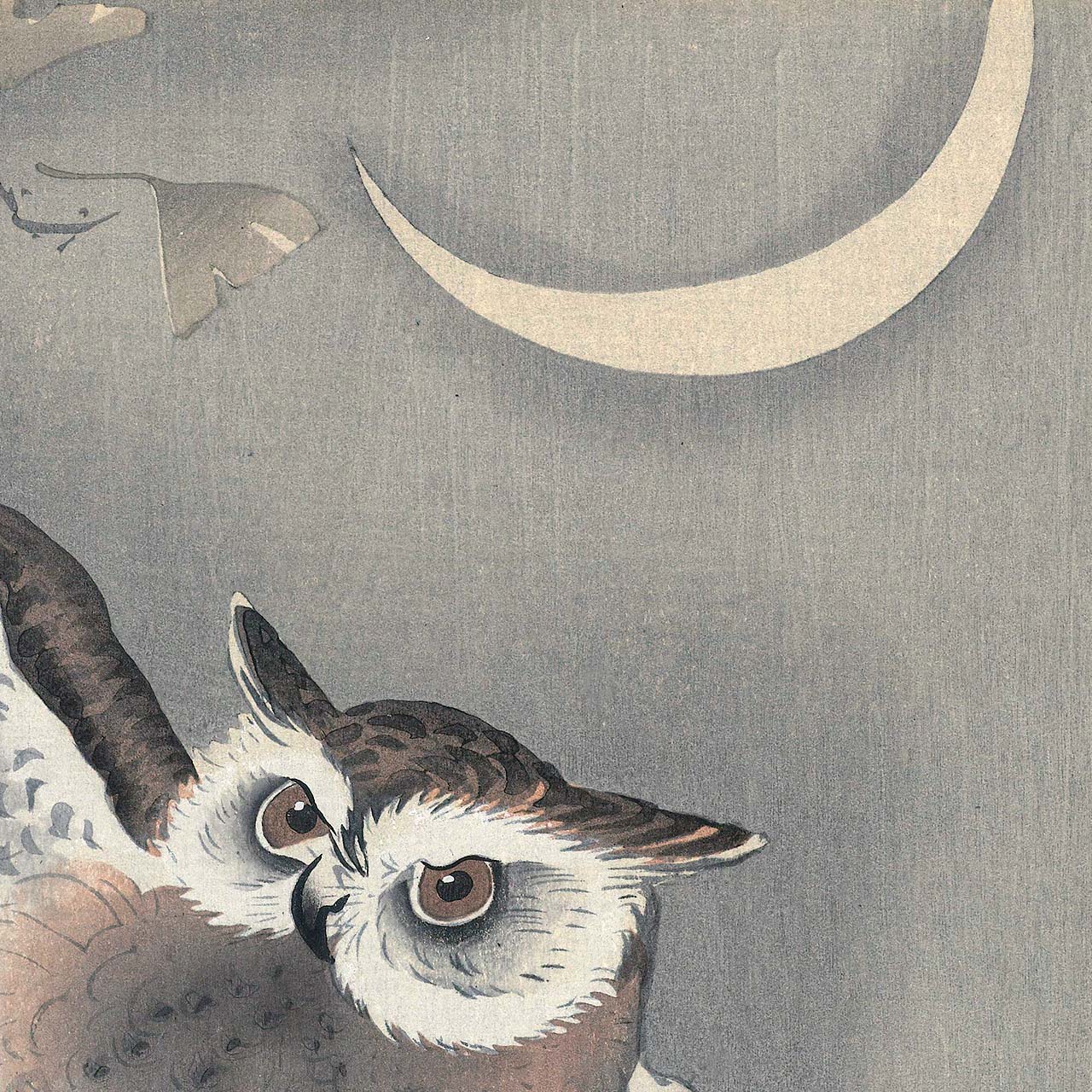 Owl in ginkgo - Japonica Graphic