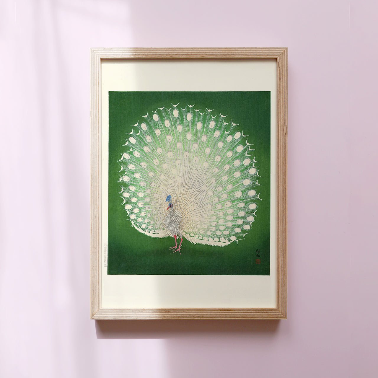 Peacock - Japonica Graphic