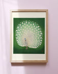 Peacock - Japonica Graphic