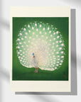 Peacock - Japonica Graphic