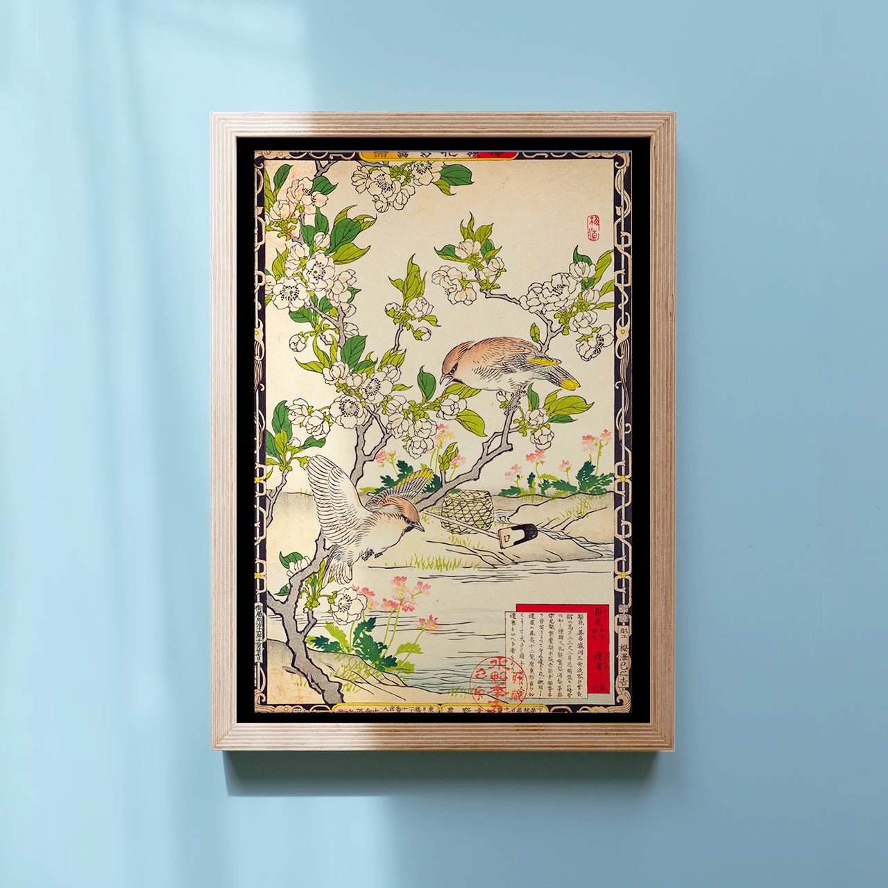 Pear Blossom and Cedar waxwing - Japonica Graphic
