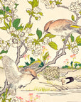 Pear Blossom and Cedar waxwing - Japonica Graphic