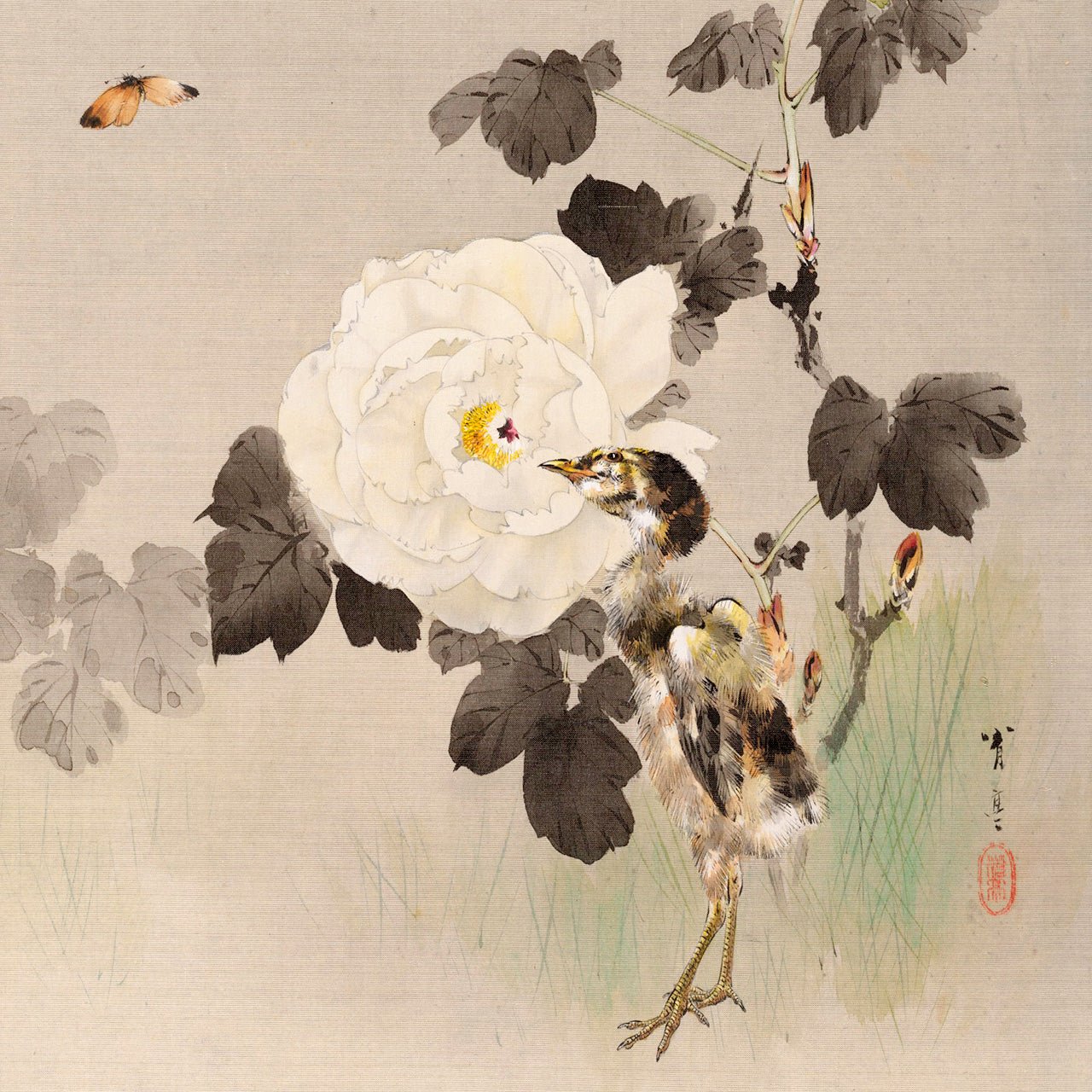 Peonies and young bird - Japonica Graphic