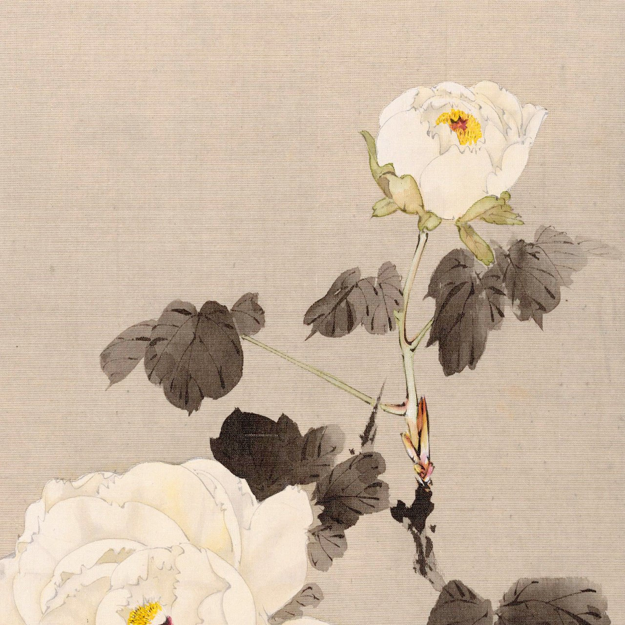 Peonies and young bird - Japonica Graphic