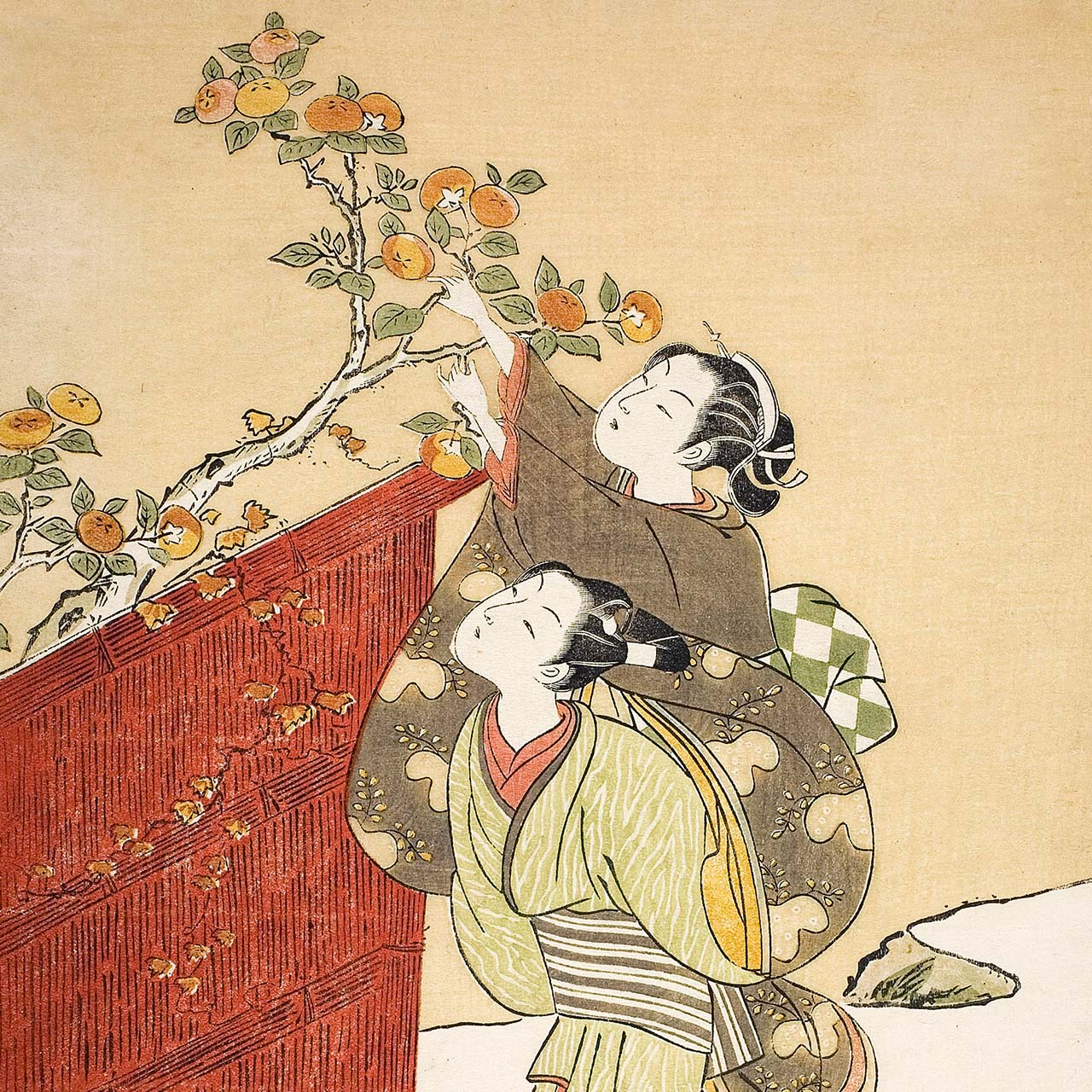 Picking Persimmons - Japonica Graphic