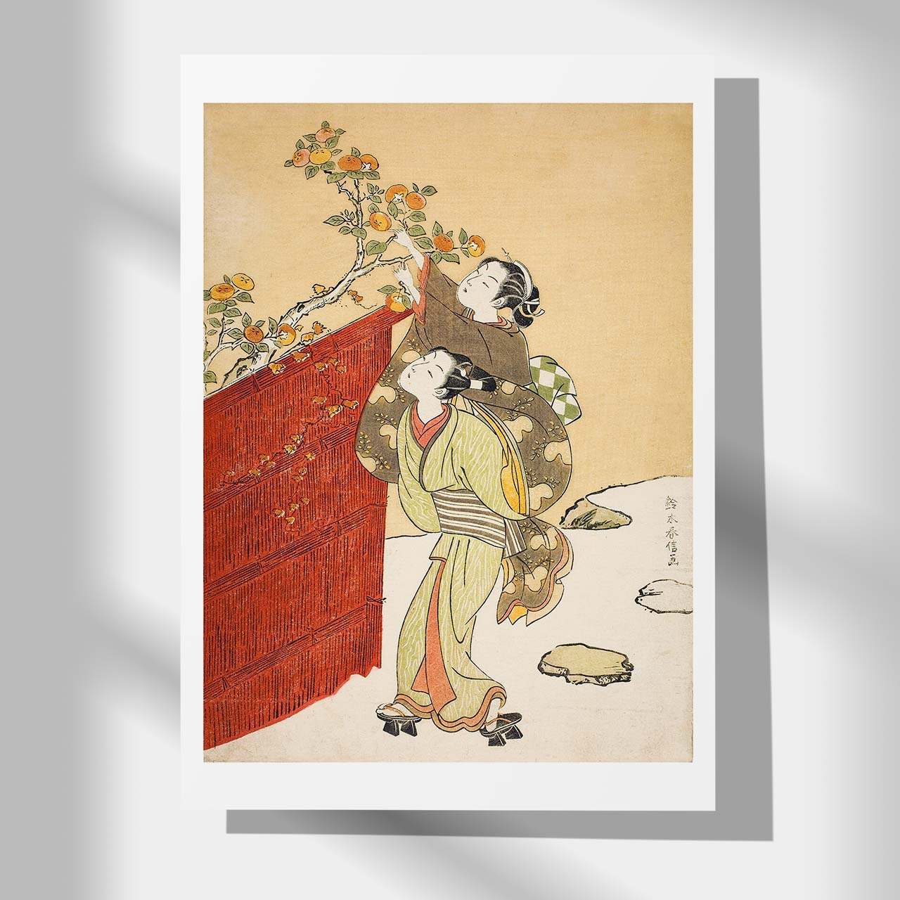 Picking Persimmons - Japonica Graphic