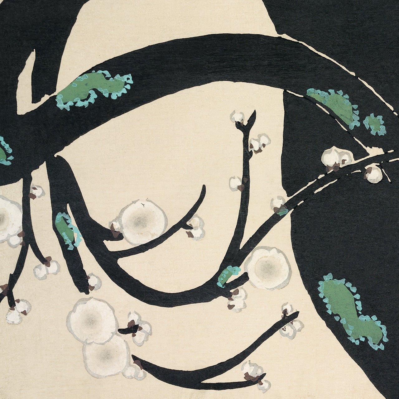 Plum blossom - Japonica Graphic