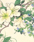 Rhododendron and dove - Japonica Graphic