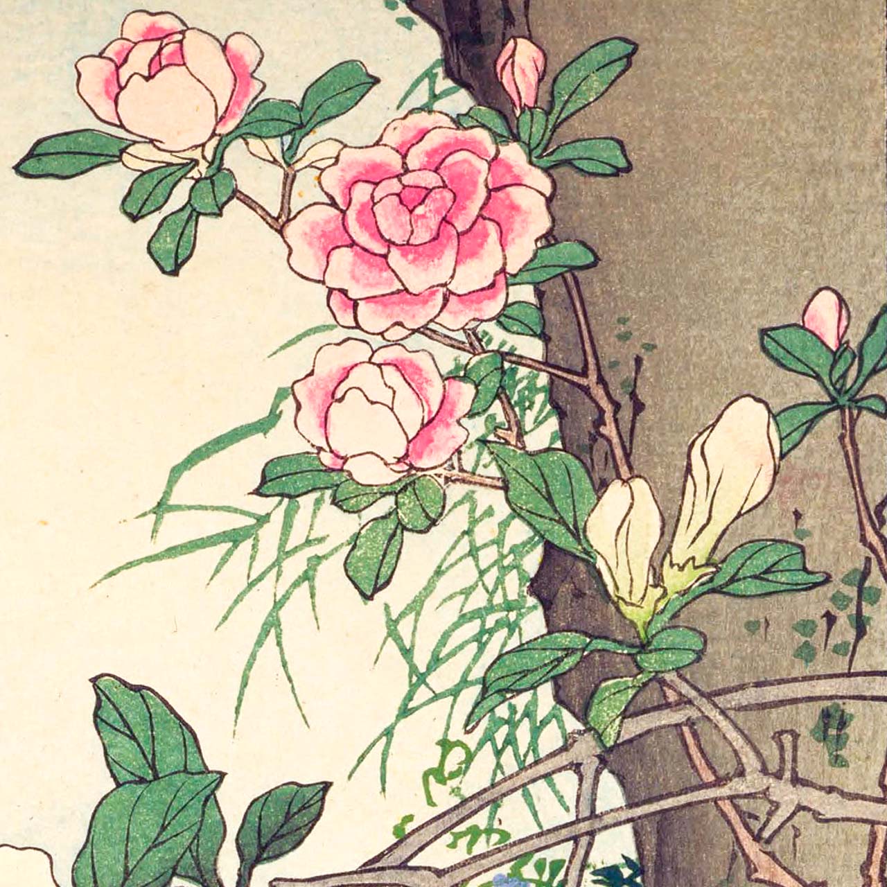 Rhododendron and dove - Japonica Graphic