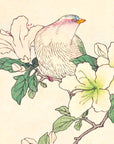 Rhododendron and dove - Japonica Graphic