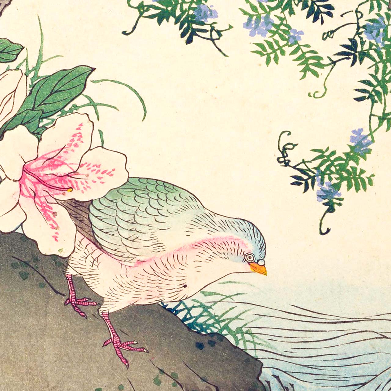 Rhododendron and dove - Japonica Graphic